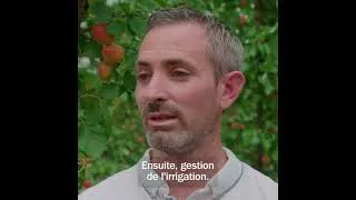 Miniature : Healthyvores - Comment faire pour avoir de bons fruits et légumes ?