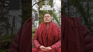 Miniature : 1 minute de Méditation dans la Forêt - Ressens comme tu es Paisible