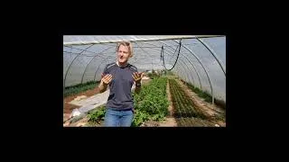 Miniature : Nat travaille à la création de la future courge de Chailluz