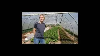 Miniature : Nat multiplie des semences potagères depuis + de 10 ans !