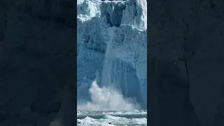 Miniature : UN VÊLAGE IMPRESSIONNANT SOUS NOS YEUX 🤯