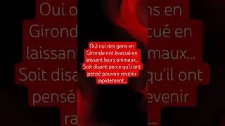 Miniature : Des animaux laissés sur place 🤬 #animaux #france #feux #gironde #actualités