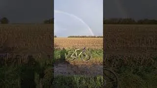 Miniature : Rainbow Mud Gravel