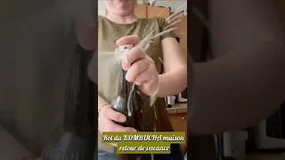 Miniature : KOMBUCHA maison , ouverture retour de vacances