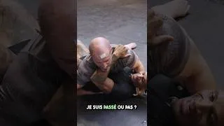 Miniature : GregMMA complètement fou 🤪 (feat Boris Atangana)  #gregmma #folie #grappling #mma #mdr