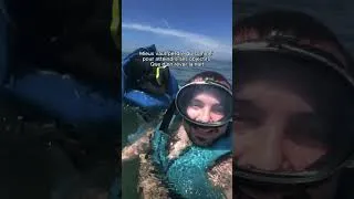 Miniature : Je t’apprends à vivre de TikTok gratuitement dans ma bio ! 🎁 J’ai passé des années merveilleuses