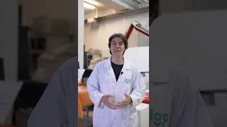 Miniature : [NOS THÉMATIQUES] Remplacer les plastiques par matières plus respectueuses de l'environnement