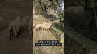Miniature : Les bouchons dans les Cévennes