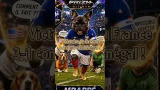 Miniature : 🏆🇫🇷 Victoire de la France 3-1 contre le Sénégal ! 🐶⚽