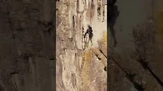 Miniature : Vertige