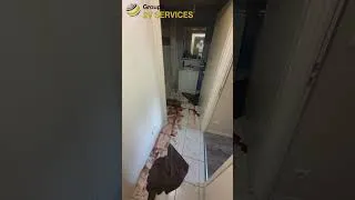 Miniature : Nettoyage et désinfection après un décès d'un appartement à Bordeaux
