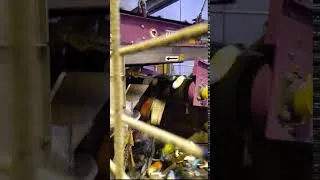 Miniature : VID 20191001 173631