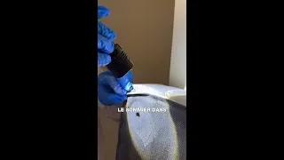 Miniature : Intervention Anti-Punaises de Lit : Diagnostic, Piqûres et Éradication 🛡️🛏️