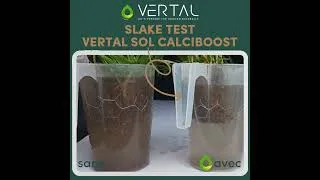 Miniature : Slake Test VERTAL SOL MAGBOOST : la preuve en image son effet sur la structure du sol.