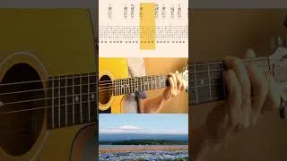 Miniature : The Boxer - Simon & Garfunkel #guitarlesson #acousticguitar #lesson #guitar #tutorial .