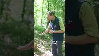 Miniature : "Comment couper les souches ?" - Episode 3/4 Les conseils de Vincent