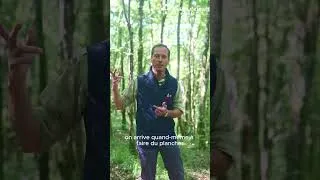 Miniature : « Les hachettes dans les arbres ? ON ARRÊTE » - Episode 1/4 Les conseils de Vincent