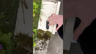 Miniature : FINGERBOARDING side quest 🥹✌️ #fingerboard #skateboardvibes #fingerscooter #diy #skateboarding