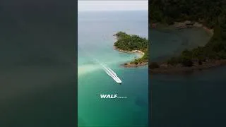 Miniature : RETOUR à L'ESSENTIEL / PÊCHE autour du MONDE  #fishing #travel #nature #island