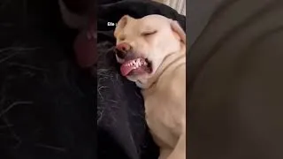 Miniature : POV : Tu te réveilles avant ta femme et tu la regarde dormir 😂