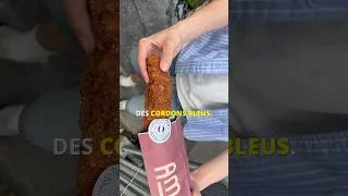 Miniature : Test de Amone de Louis San et Tev 🌭🇫🇷