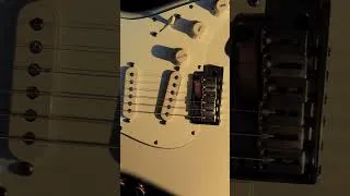 Miniature : Fender Custom