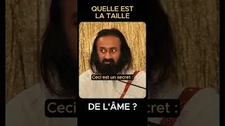 Miniature : Quelle est la taille de L'ÂME | Gurudev Sri Sri Ravi Shankar
