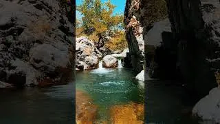 Miniature : " Détente dans le Sons de la Nature"