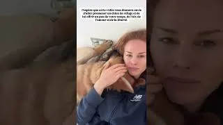 Miniature : Un simple geste peut changer toute leur vie #chien