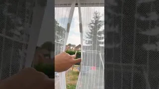 Miniature : Test rideau magnétique Action 🦟 #Shorts #Action #Moustiquaire #BonPlan #Maison