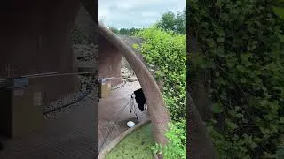 Miniature : Arche bassin maison bulle Antonio Benincà. #shorts