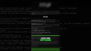 Miniature : C'est quoi le fuzzing ?