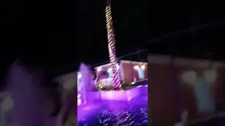 Miniature : la vie est belle