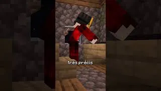 Miniature : Le Bloc le plus RARE de Minecraft ! #minecraft  #seed