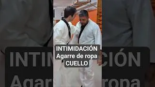 Miniature : 3 TÉCNICAS contra INTIMIDACIÓN con AGARRE DE LA ROPA zona del cuello #hapkido #artesmarciales