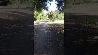 Miniature : Journée de trêve dans le combat contre l'ogre de feu qui ravage la Gironde . 🤔😎