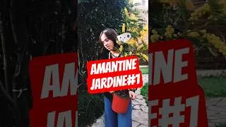 Miniature : AMANTINE JARDINE!