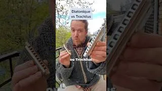 Miniature : Harmonica Diatonique vs Trochilus pour débuter ?
