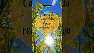 Miniature : #Motivation #DéveloppementPersonnel #BienÊtre #ConfianceEnSoi #InspirationQuotidienne #Succès 13