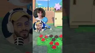 Miniature : 👀On juge des îles ANIMAL CROSSING avec @remyx_