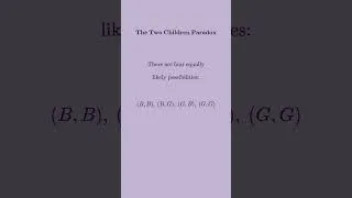 Miniature : The Two Children Paradox