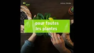 Miniature : Les règles de base à suivre pour toutes les plantes | Agriculture urbaine