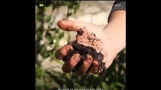 Miniature : Comment faire son compost? | Agriculture urbaine