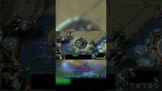 Miniature : L'importance de la Concave  #starcraft2