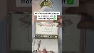 Miniature : ✅ Fin du mois chez moi ! 💰#enveloppes #budget #cash #frugal #finances (Music Bensound)