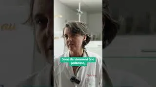 Miniature : Le Printemps des Sciences 2026 à la HEPH - Condorcet Campus d'Ath