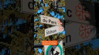 Miniature : Milton Parc, la résistance citoyenne contre les bulldozers | Héritage Montréal
