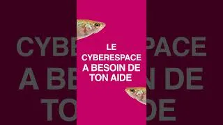 Miniature : Orientation Information and cybersecurity du Master in Engineering