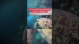 Miniature : La 6e extinction de masse a déjà commencé ? 