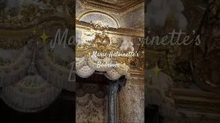 Miniature : Marie Antoinette’s Bed Has a New Queen 👑🐈